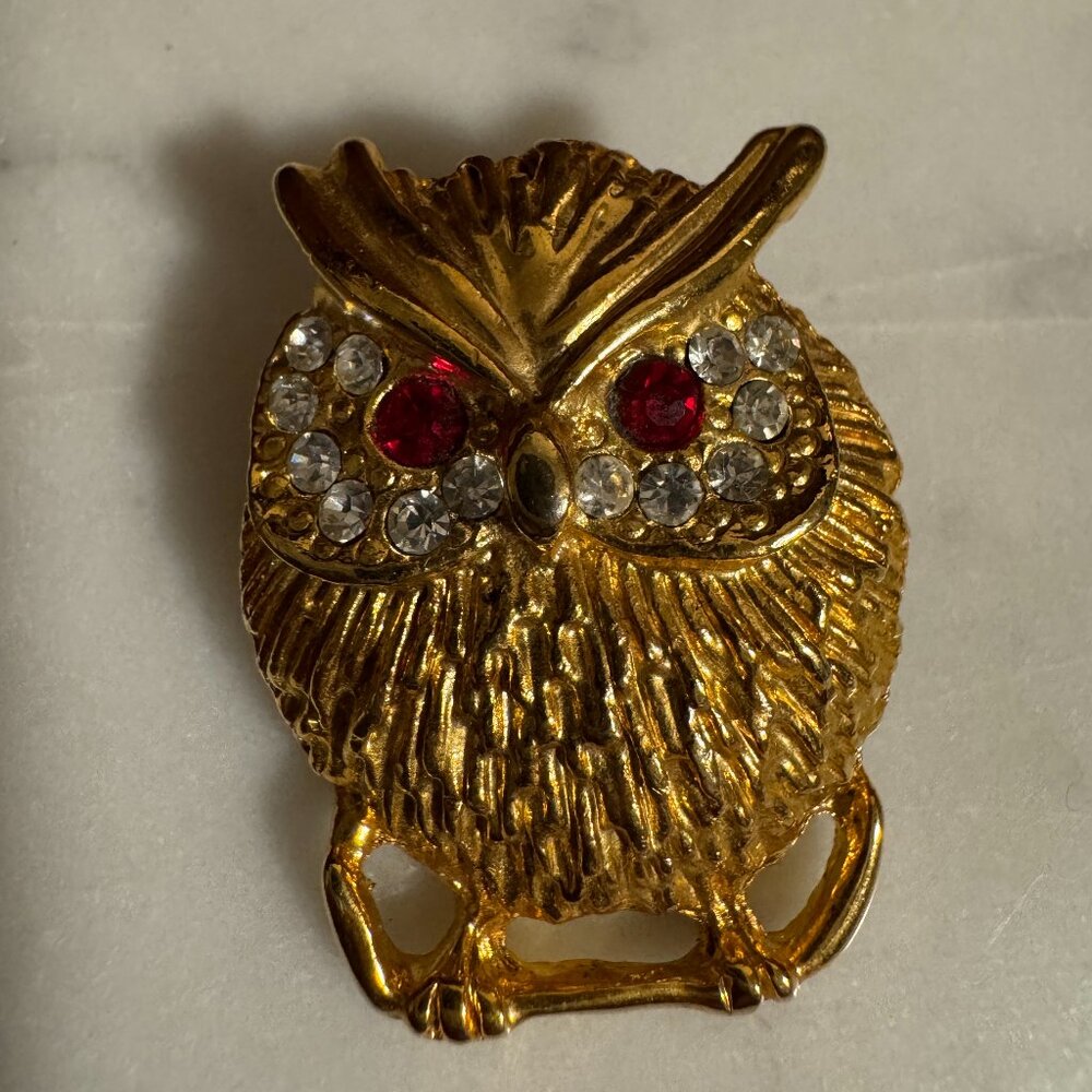 Adorable owl brooch